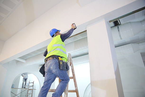 Best Biohazard Mold Removal  in Severance, CO